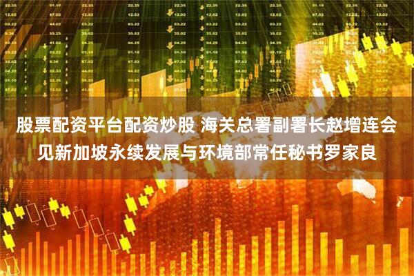 股票配资平台配资炒股 海关总署副署长赵增连会见新加坡永续发展与环境部常任秘书罗家良